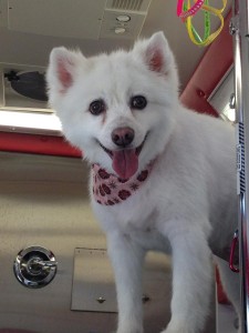 ALASKA 